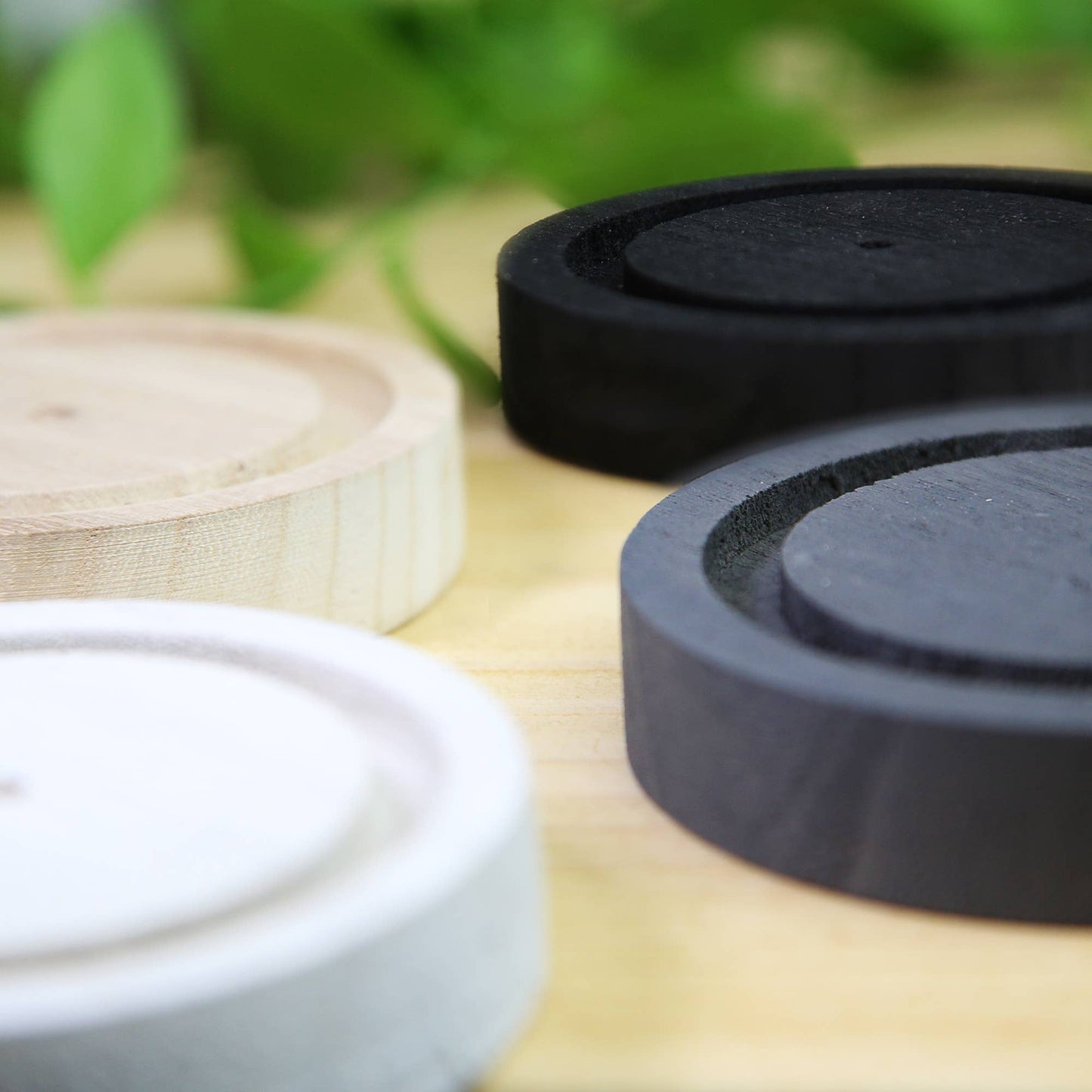 Blushing Phantom Butterfly Insect Bug Taxidermy Bell Jar