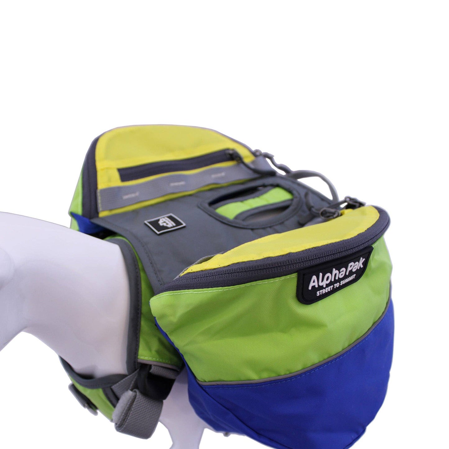Adventurer 2-piece Dog Pack With EZ Latch™  Harness - RAIN FOREST