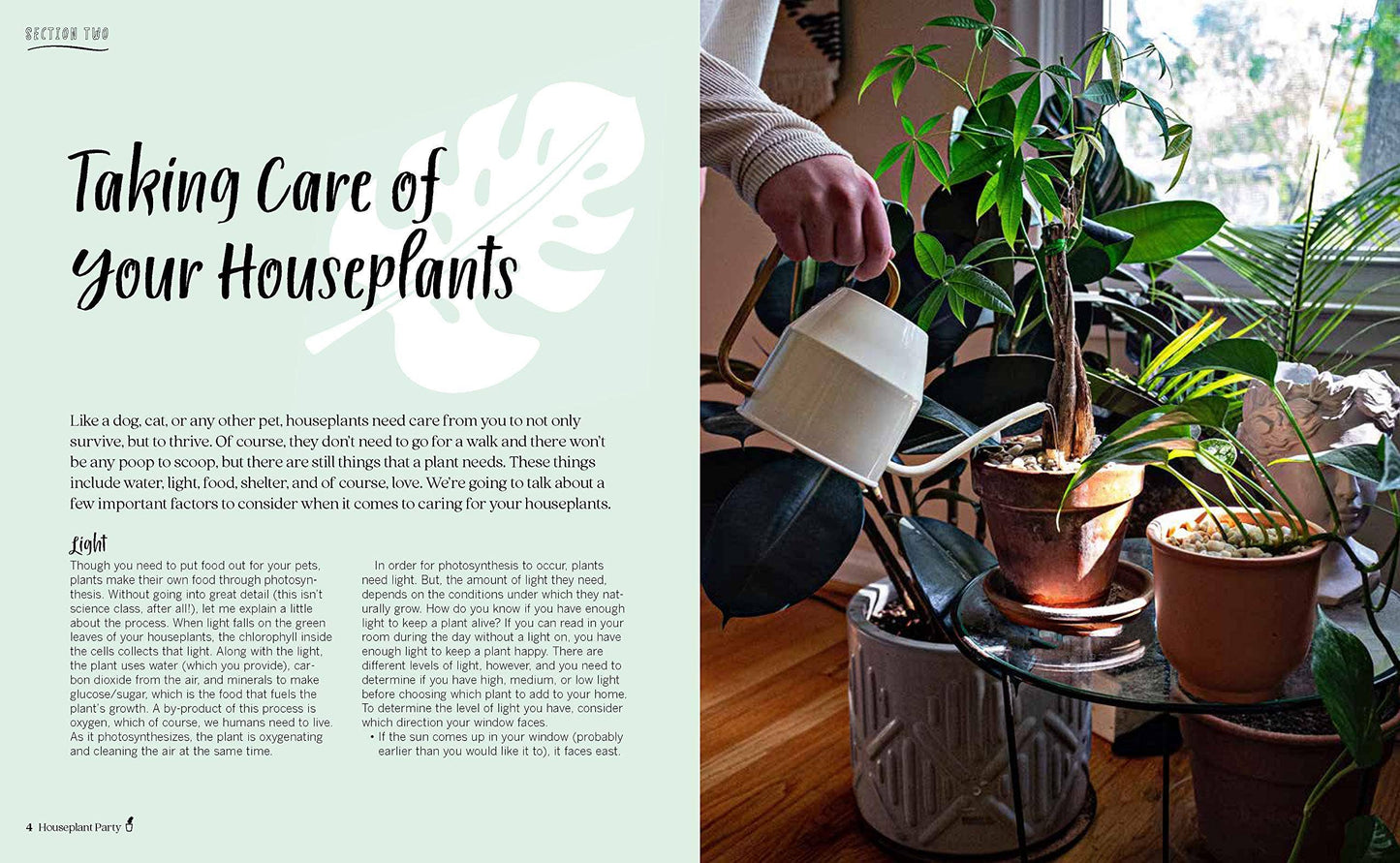 Houseplant Party: Fun Projects & Growing Tips For Plants