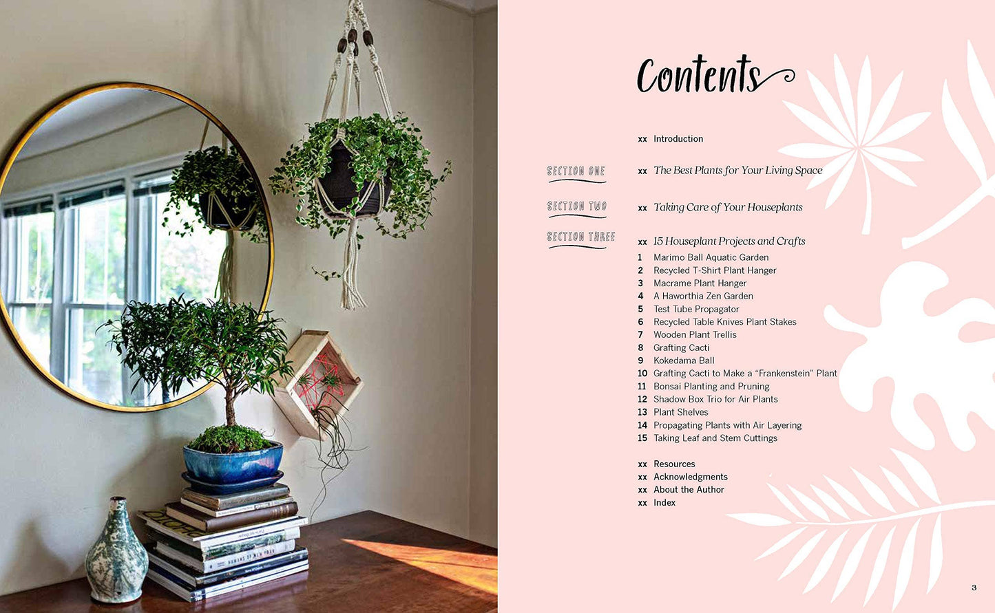 Houseplant Party: Fun Projects & Growing Tips For Plants