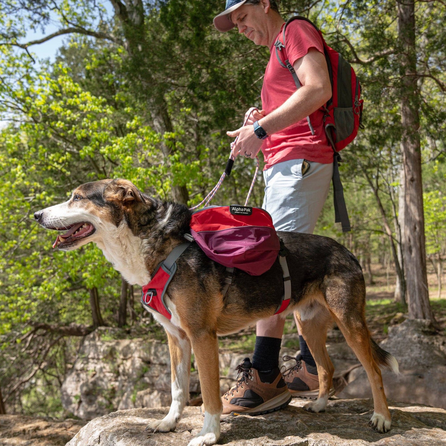 Adventurer 2-piece Dog Pack With EZ Latch™  Harness - SUNSET