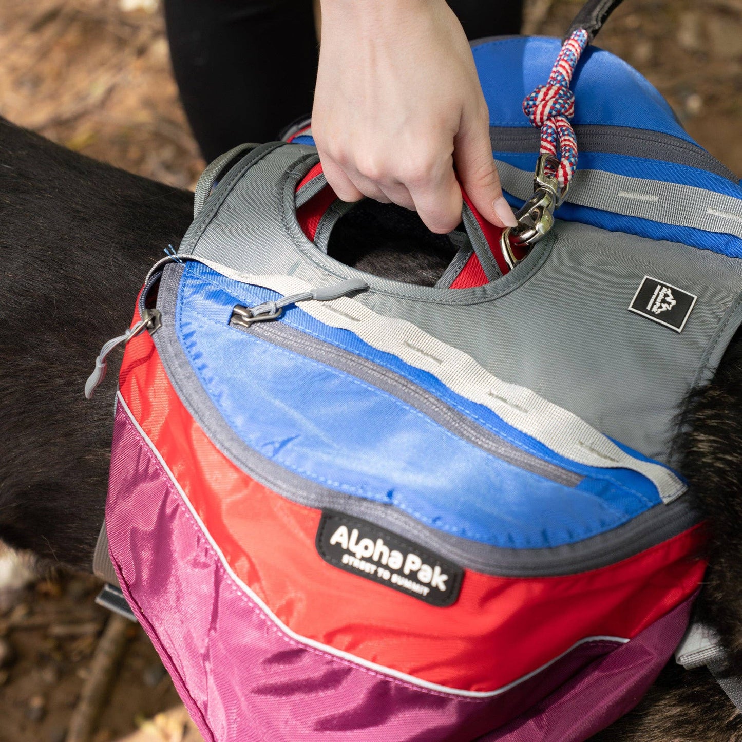 Adventurer 2-piece Dog Pack With EZ Latch™  Harness - SUNSET