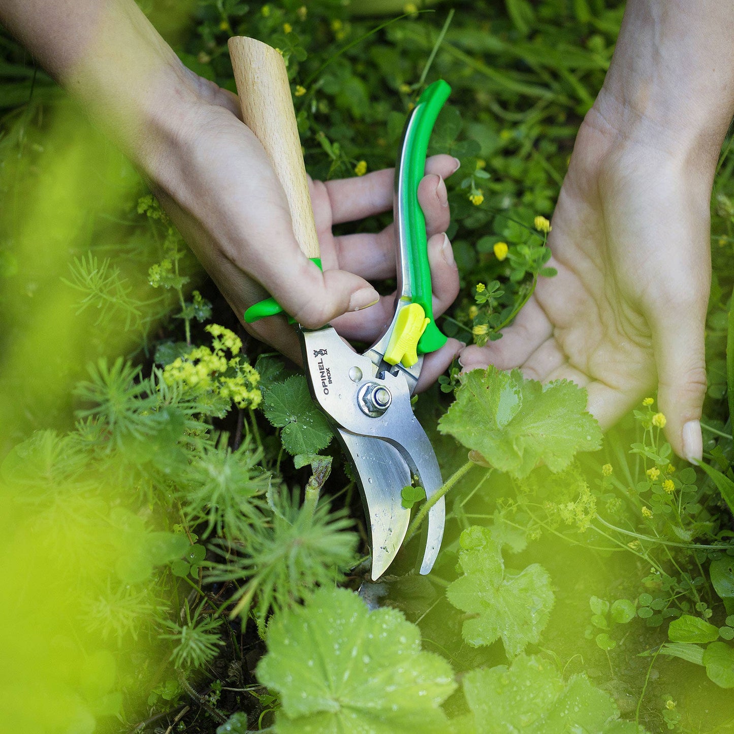 Gardening Shears