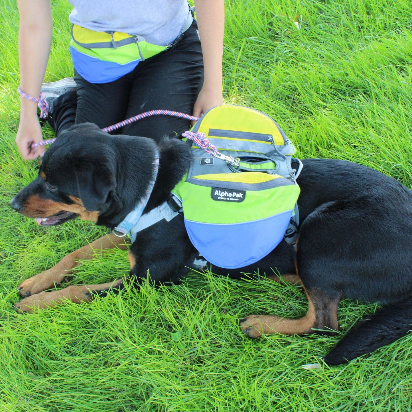 Adventurer 2-piece Dog Pack With EZ Latch™  Harness - RAIN FOREST