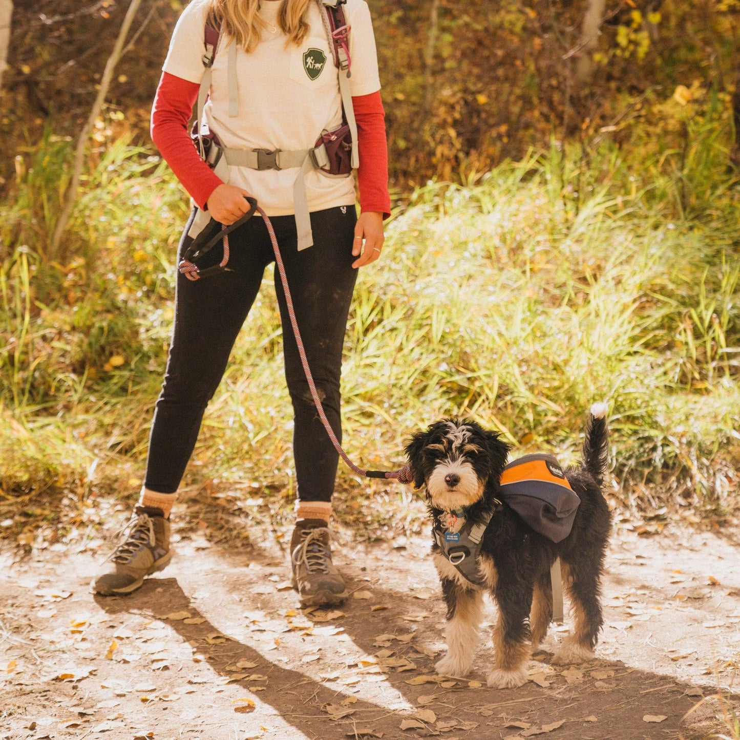 Adventurer 2-piece Dog Pack With EZ Latch™  Harness - MILE H
