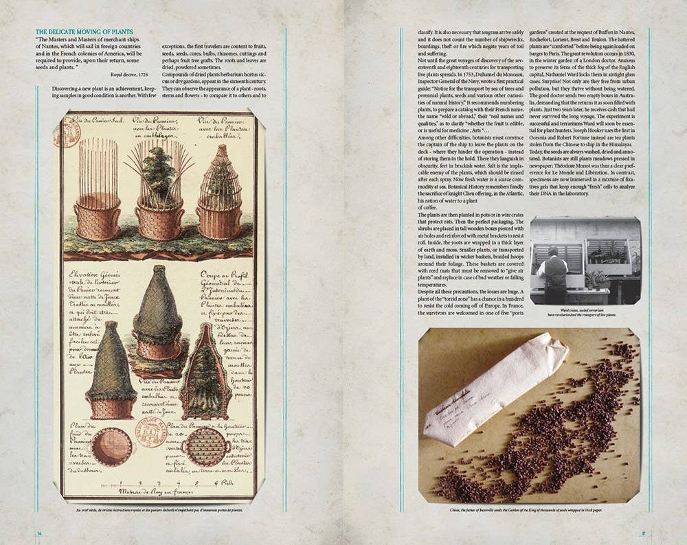 Explorers' Botanical Notebook