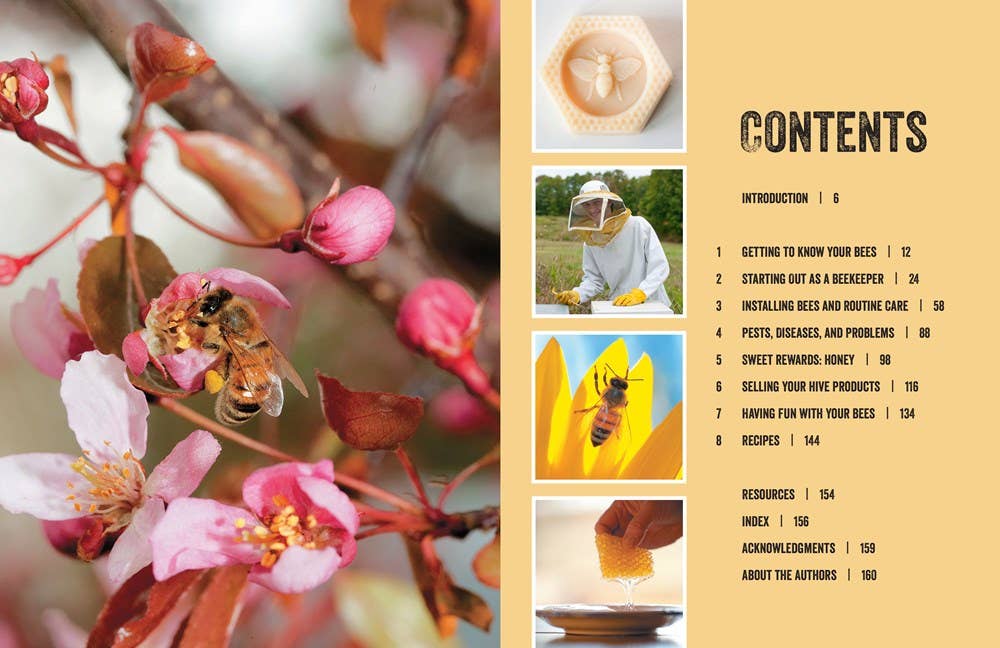 Beginner's Guide to Beekeeping: Everything You Need to Know