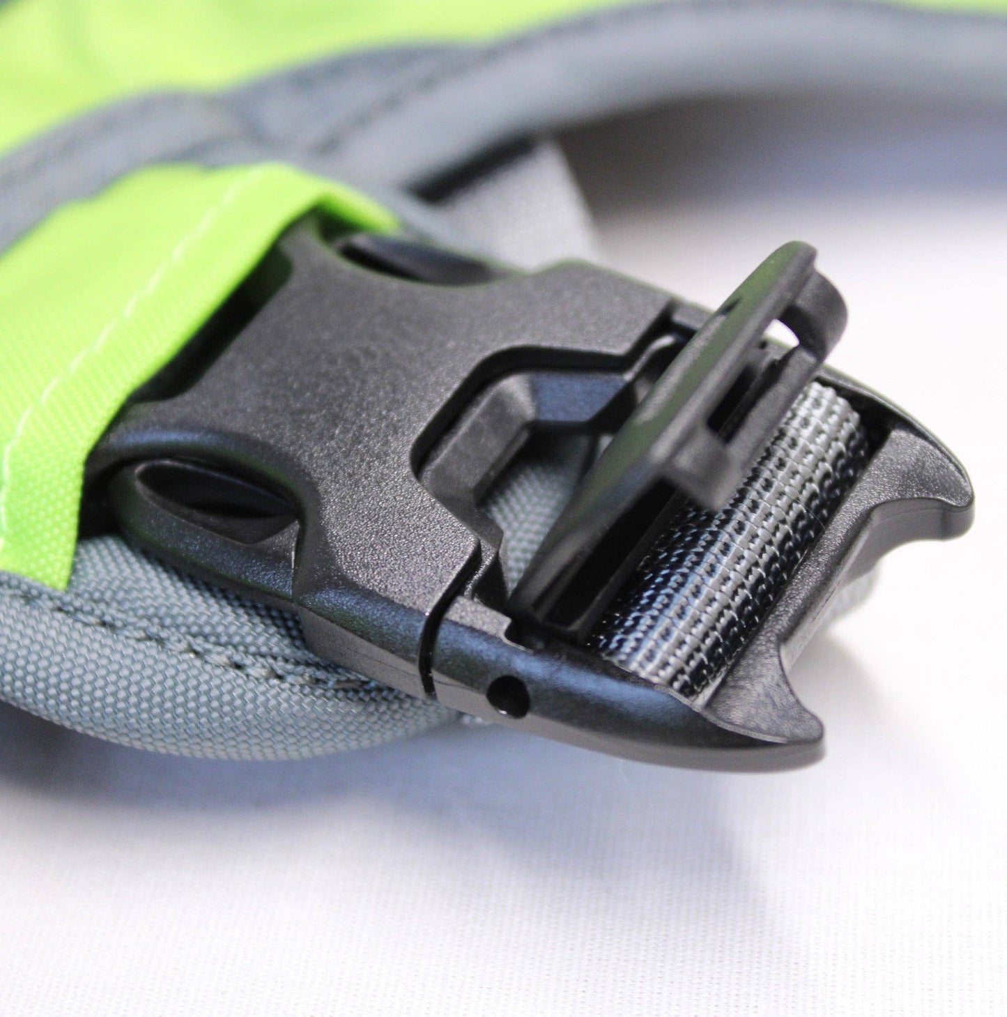 Adventurer 2-piece Dog Pack With EZ Latch™  Harness - RAIN FOREST