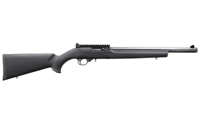 Ruger, 10/22