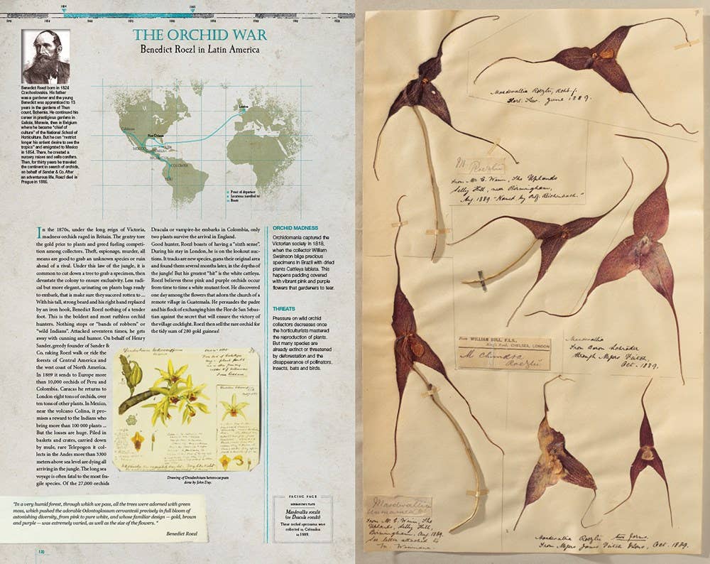 Explorers' Botanical Notebook