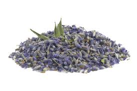 Lavendar Flower