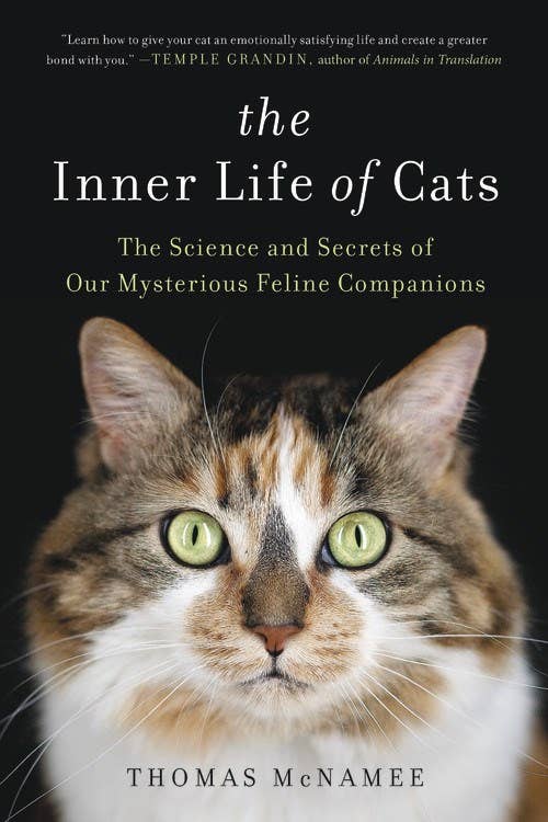 Inner Life of Cats: The Science and Secrets